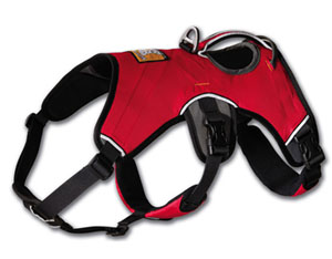 Web master Harness