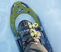 New generation snow shoe