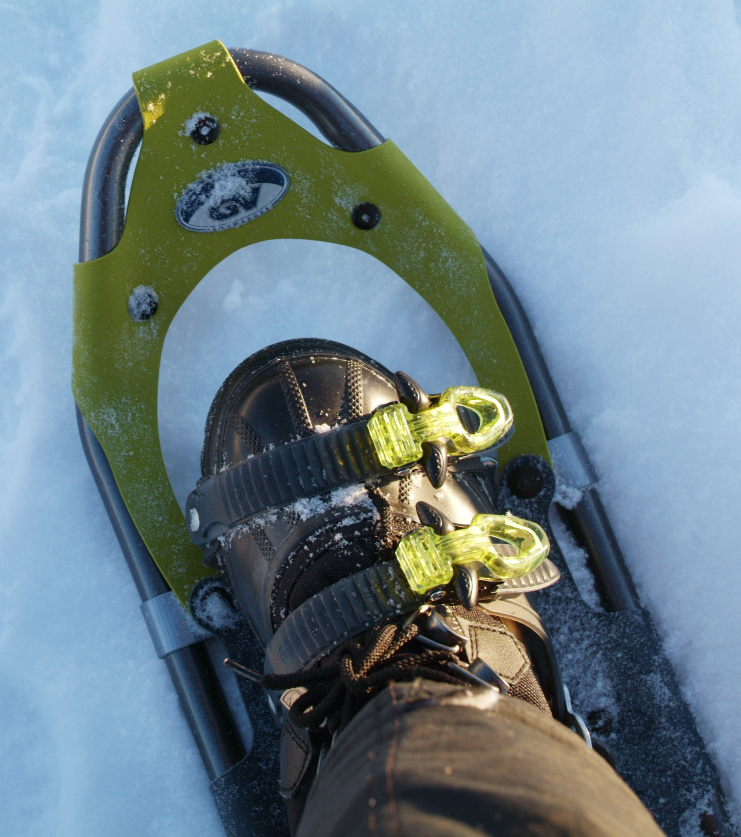 Snow Shoe