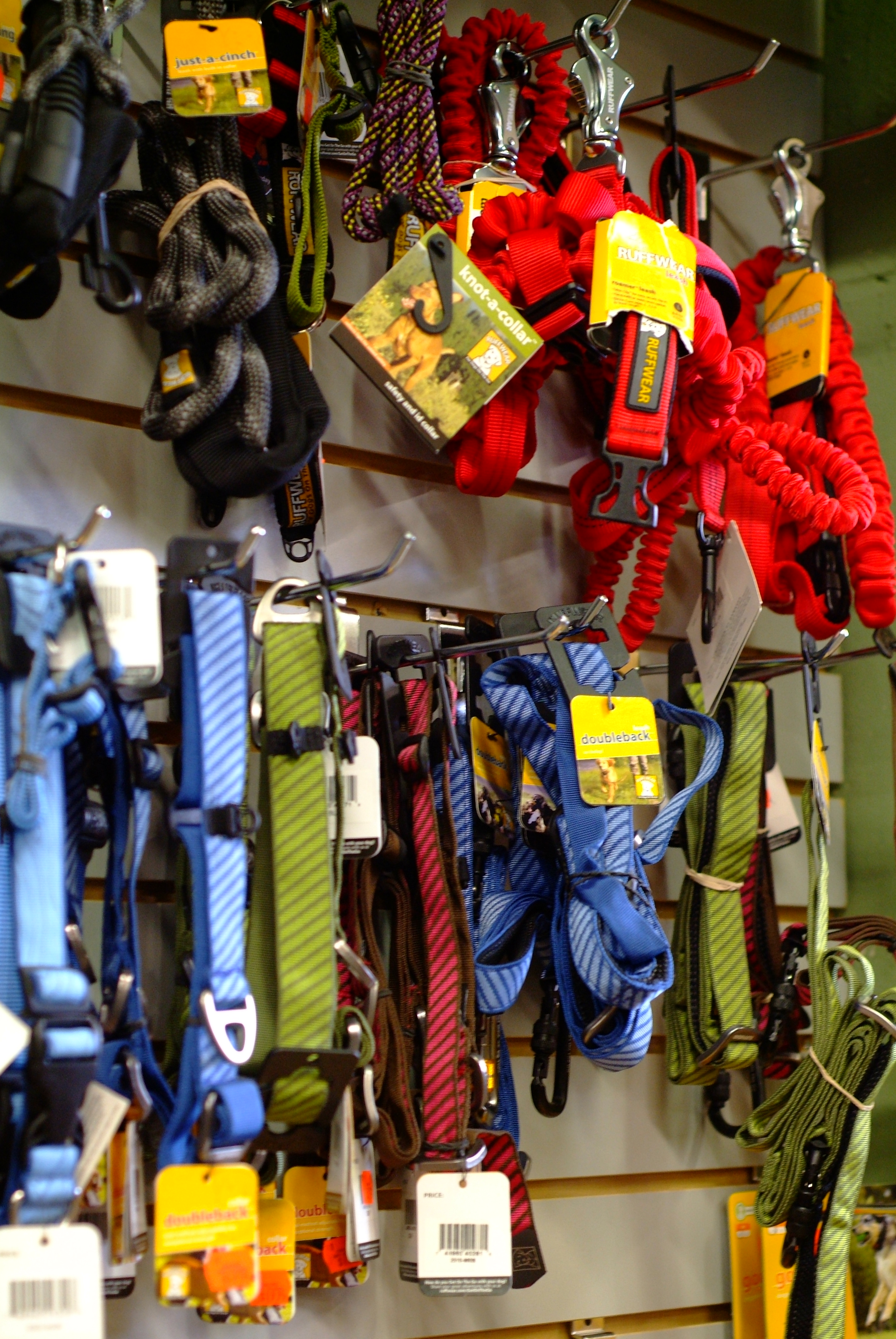 dog leashes