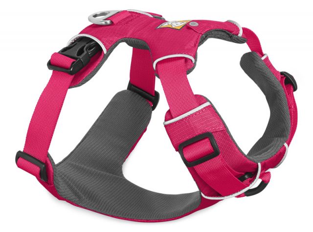 Wildberry Front Range Harness