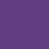 Tillandsia Purple